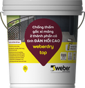 Sản phẩm chống thống weberdry top